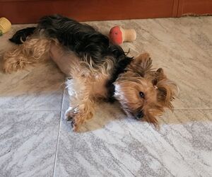 Juanlu