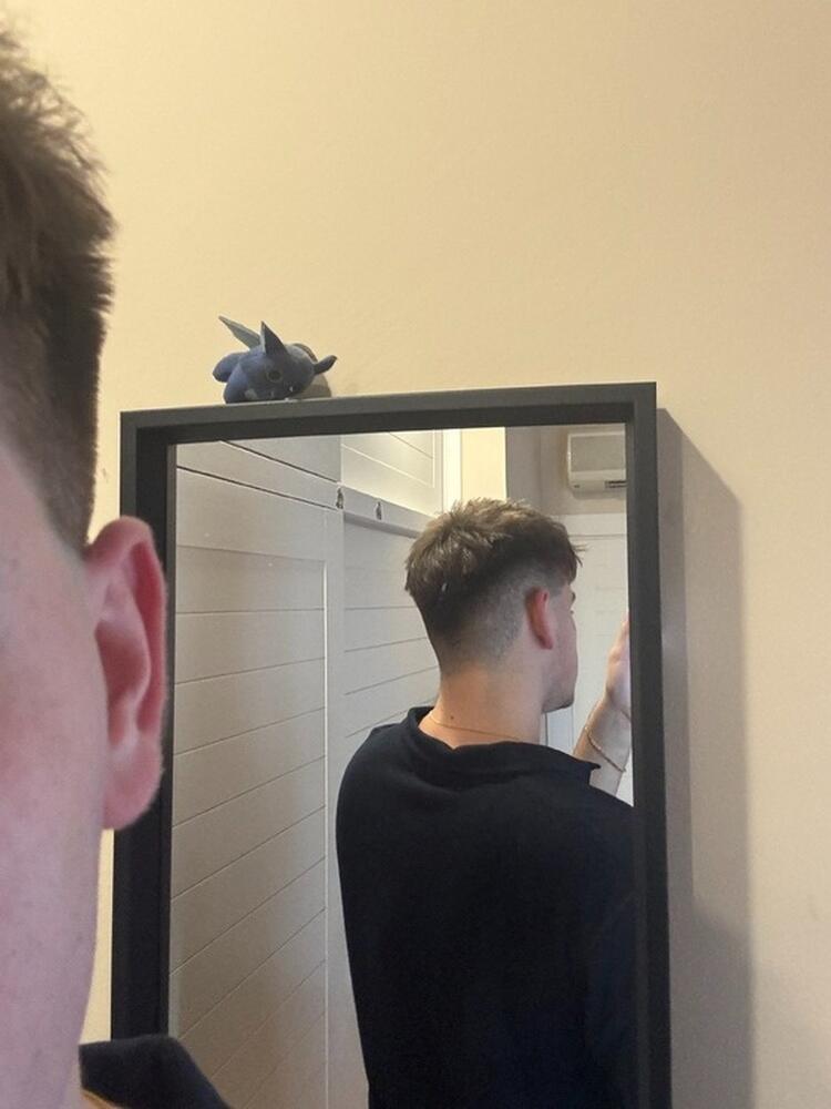 Foto de perfil de Pedro