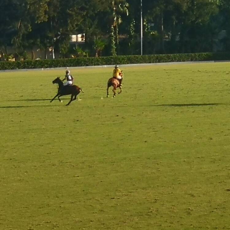 Foto de perfil de speller