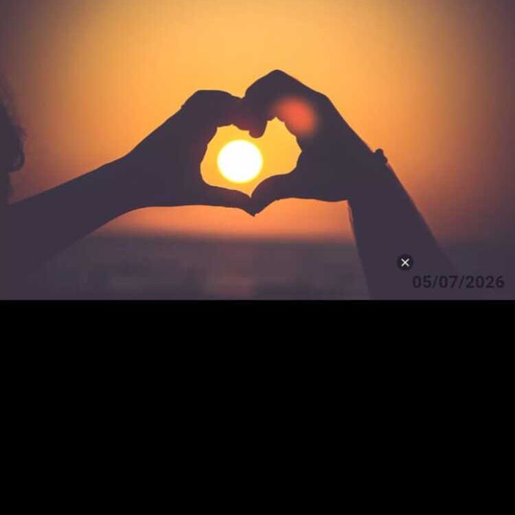 Foto de perfil de Yolanda