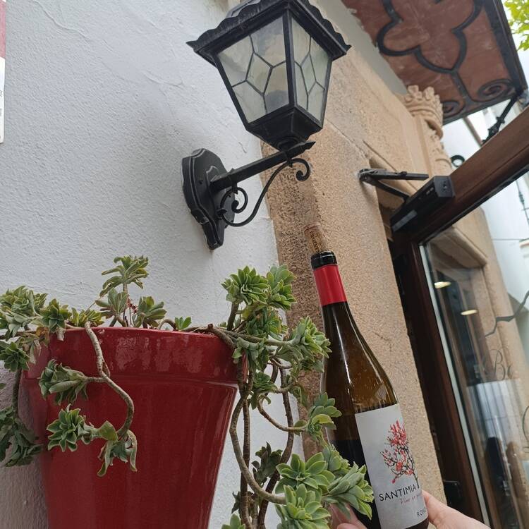 Foto de perfil de Maribel