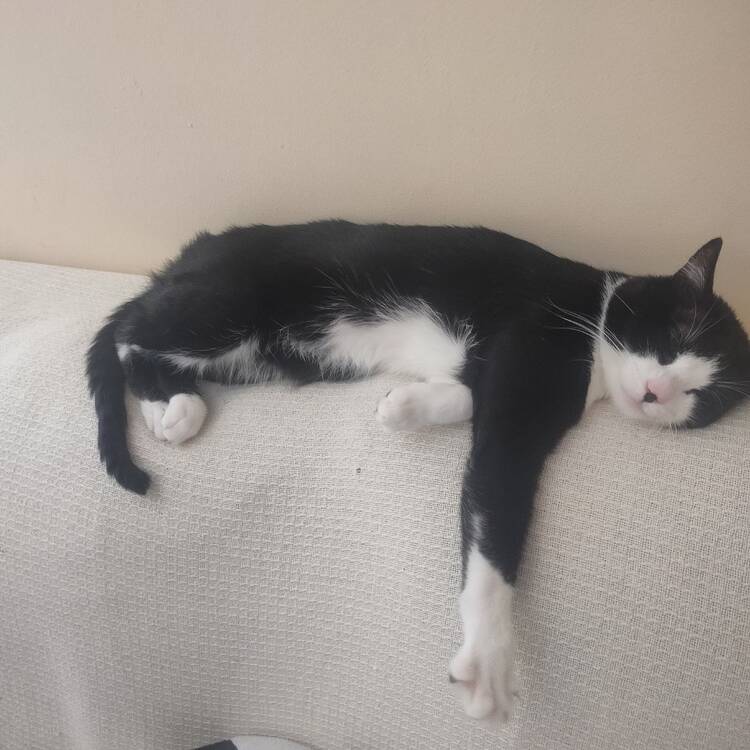 Foto de perfil de mari carmen