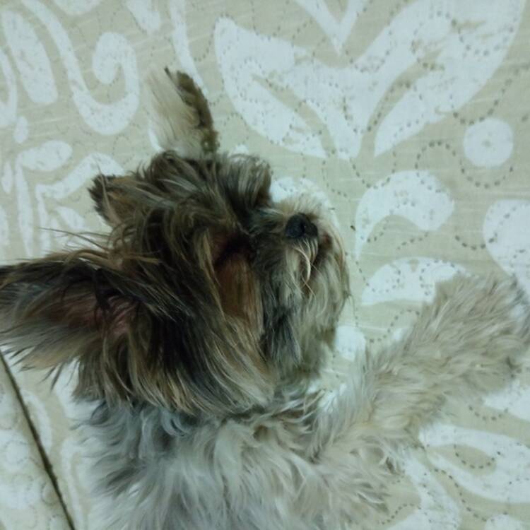 Foto de perfil de Carlos
